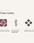 Three notes: rose, aloeswood, musk, the anatomy of Allure
