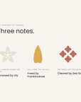 Three notes: lily, frankincense, seasalt, the anatomy of Change