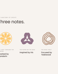 Three notes: mandarin, iris, teakwood, the anatomy of Create