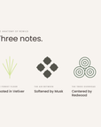 Three notes: vetiver, musk and redwood, the anatomy of Rewild