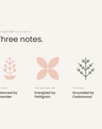 Three notes: lavender, petitgrain, cedar, the anatomy of Vivacity