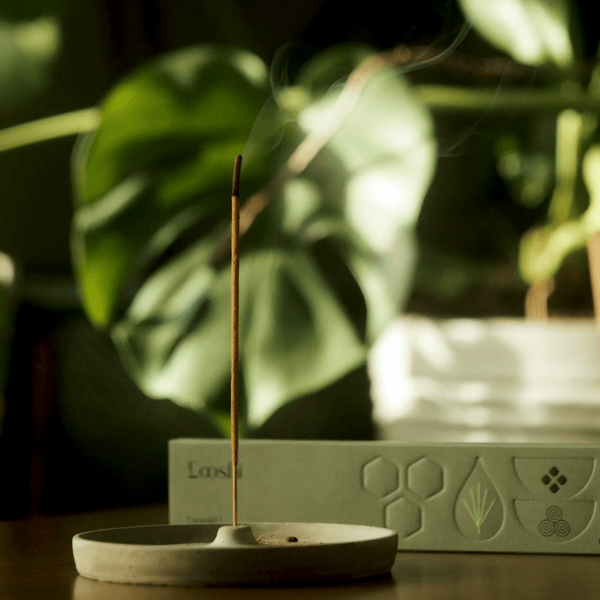rewild incense sticks from hellolooshi.