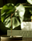 rewild incense sticks from hellolooshi.