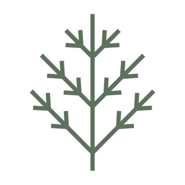 Grounded by Cedarwood