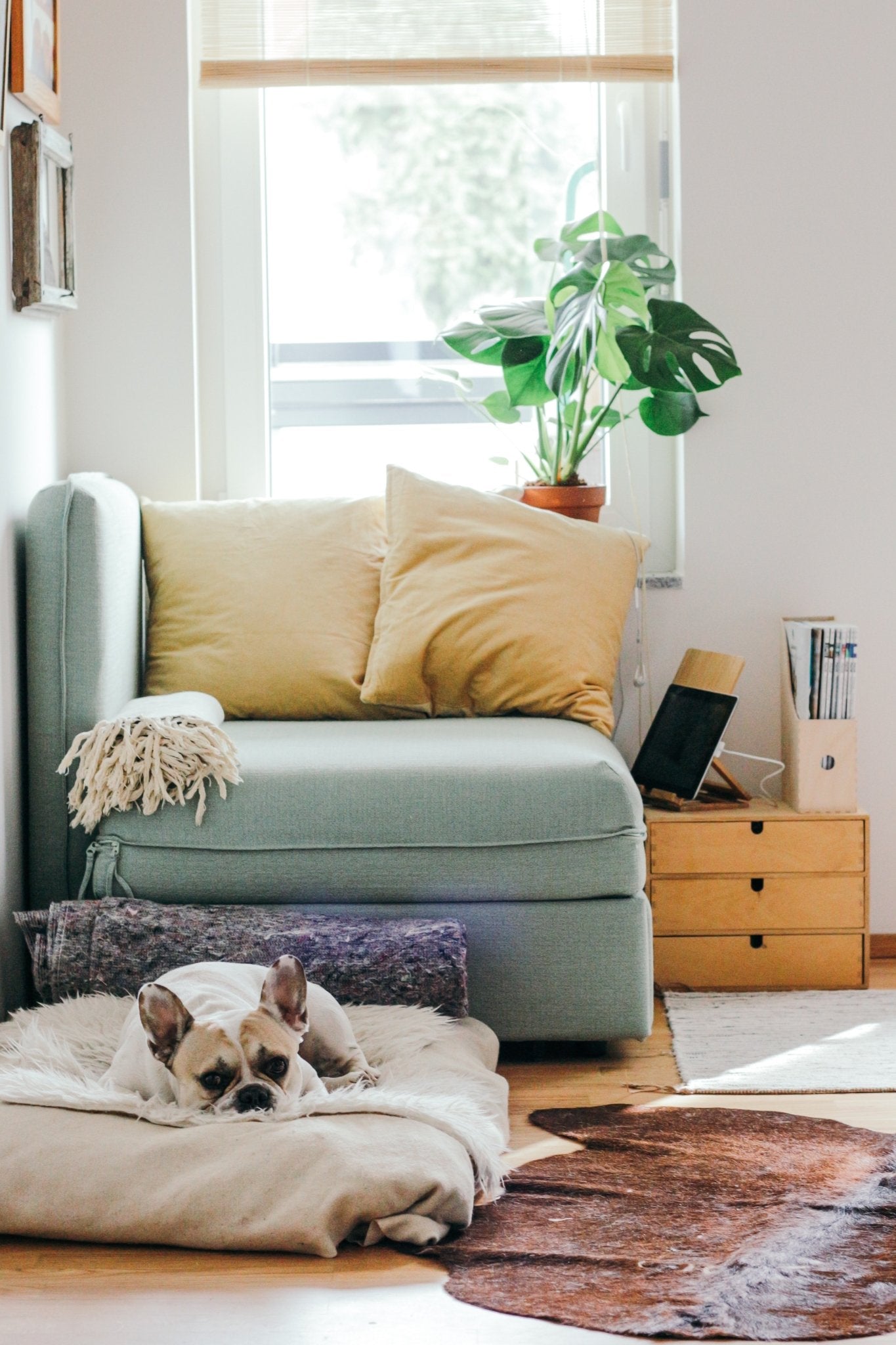 5 Mindful Transition Rituals to Signify Your Shift From Work to Home Life - Looshi