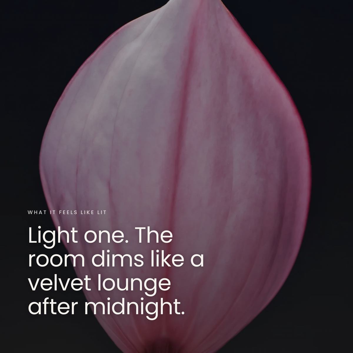 Light one. The room dims like a velvet lounge after midnight.