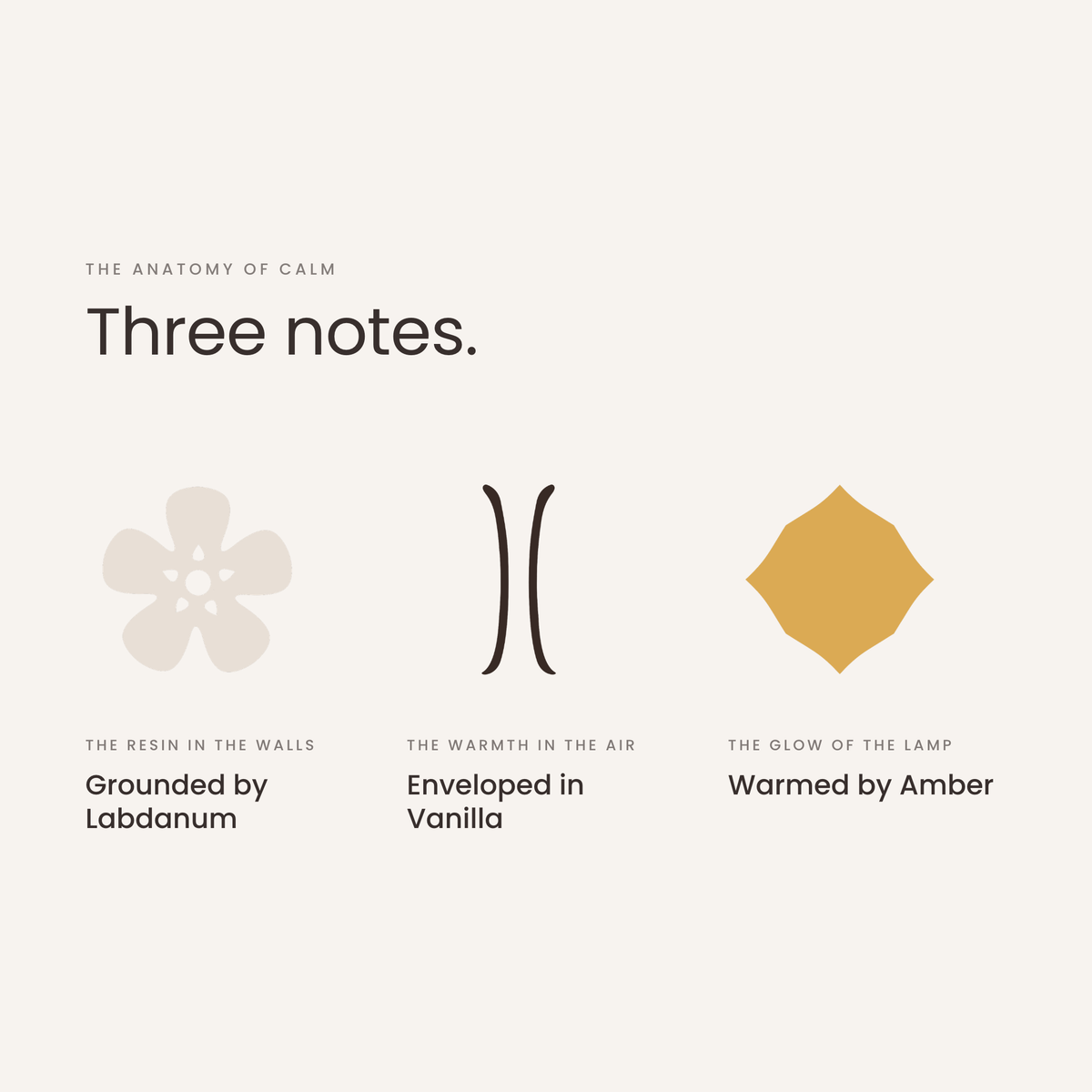 Three notes: labdanum, vanilla, amber, the anatomy of Calm