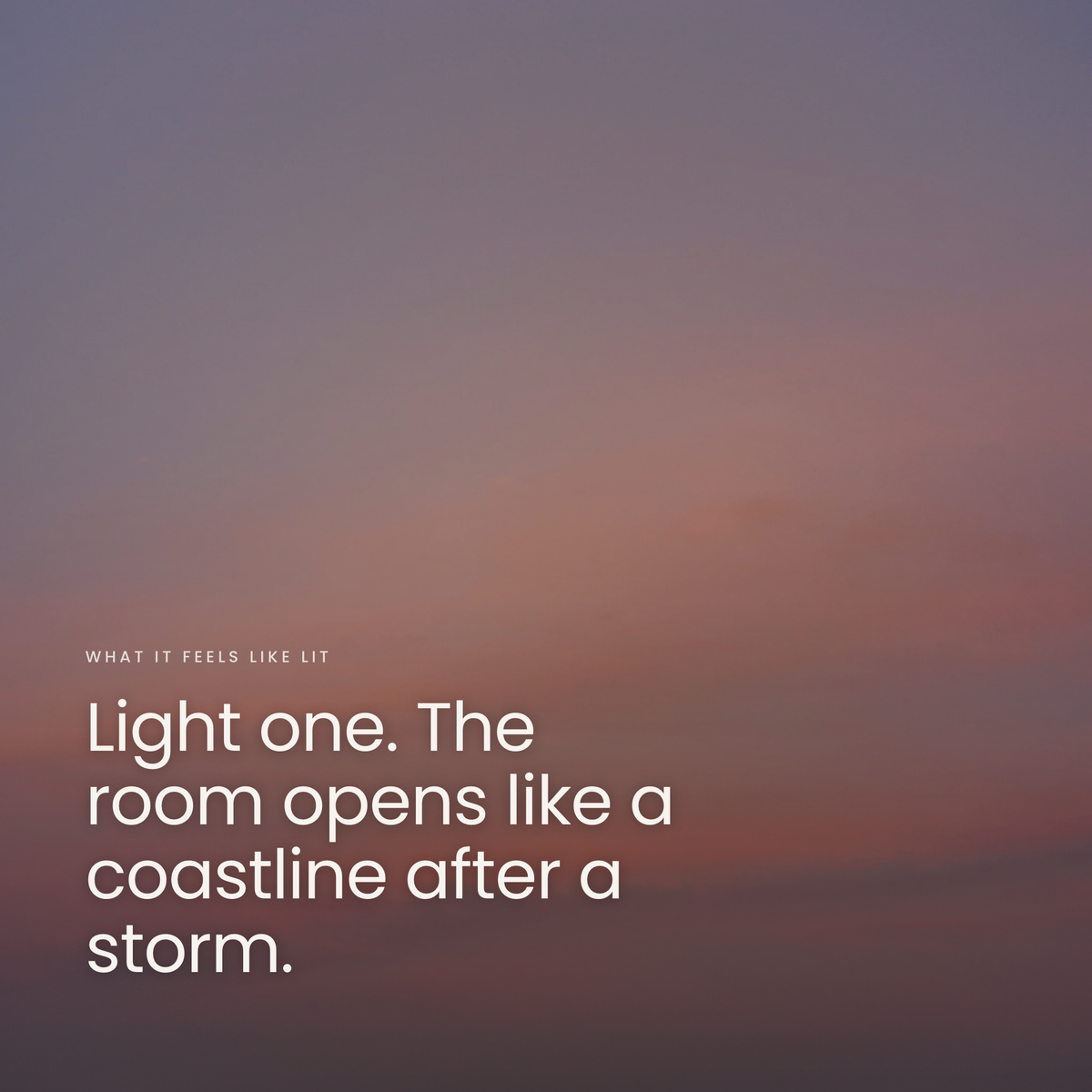 Light one. The room opens like a coastline after a storm.