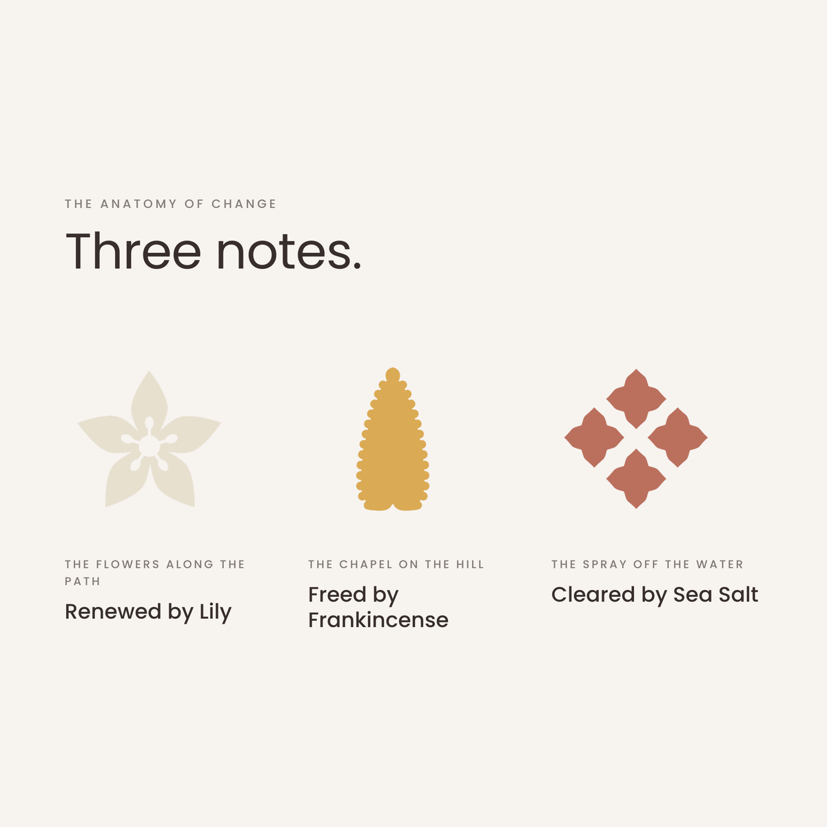 Three notes: lily, frankincense, seasalt, the anatomy of Change