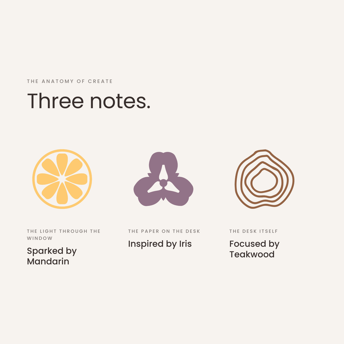 Three notes: mandarin, iris, teakwood, the anatomy of Create