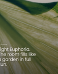 Light Euphoria. The room fills like a garden in full sun.