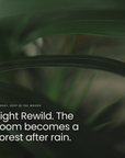 Light Rewild. The room becomes a forest after rain.