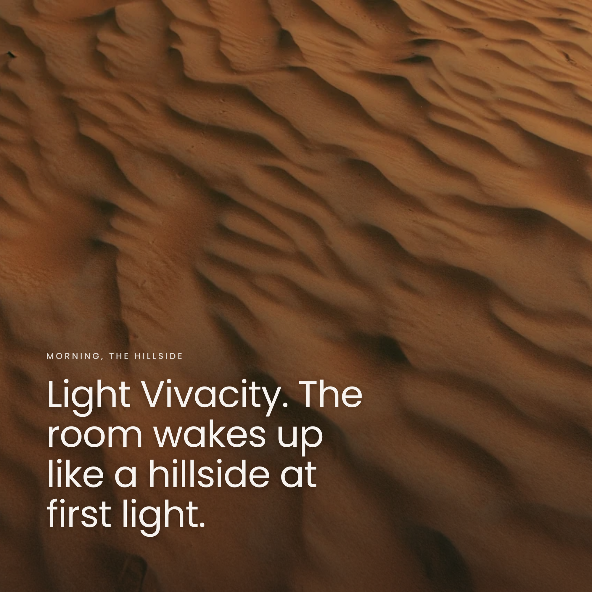 Light Vivacity. The room wakes up like a hillside at first light.