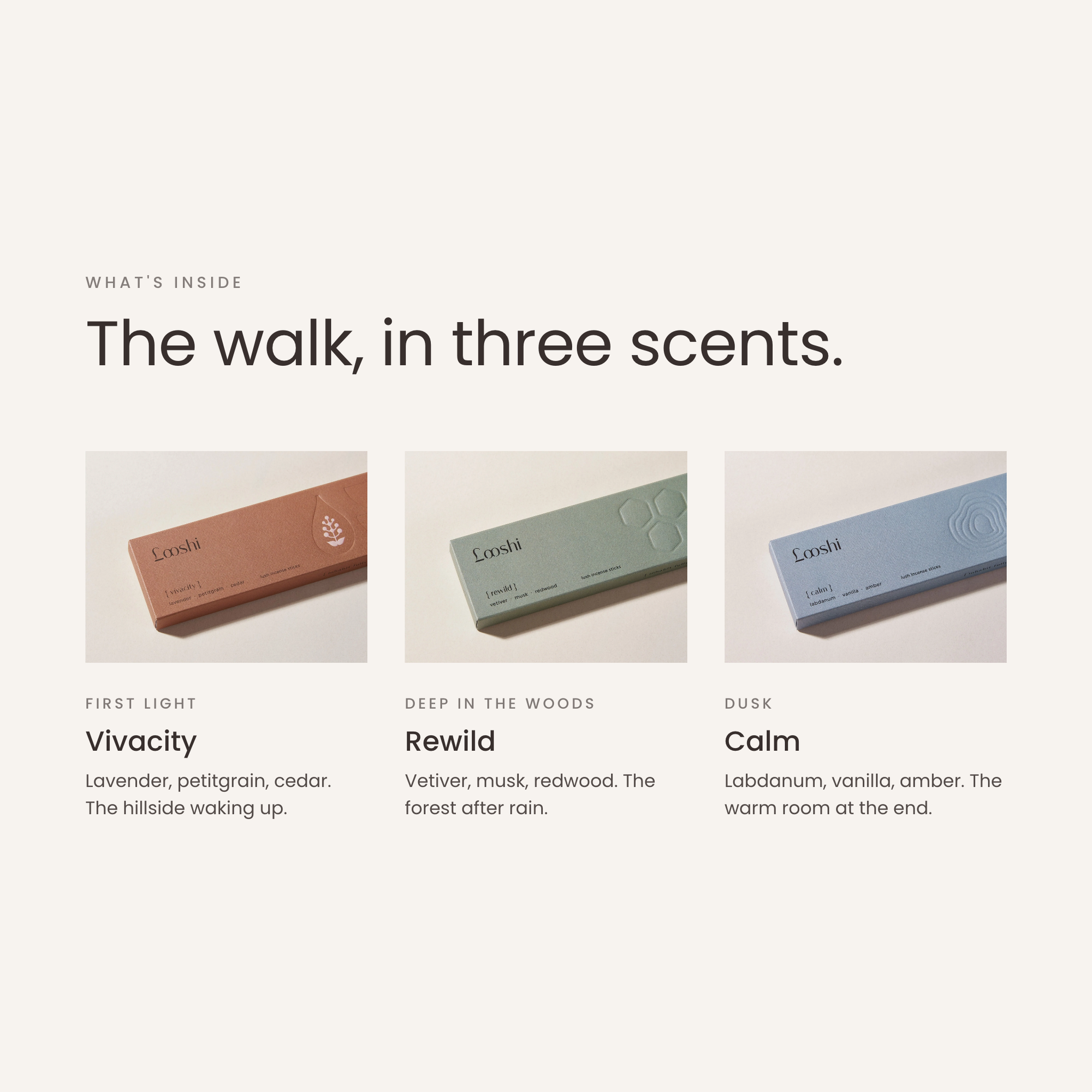 The Forest Edit: what's inside