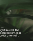 Light Rewild. The room becomes a forest after rain.