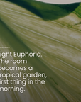 Light Euphoria. The room becomes a tropical garden, first thing in the morning.