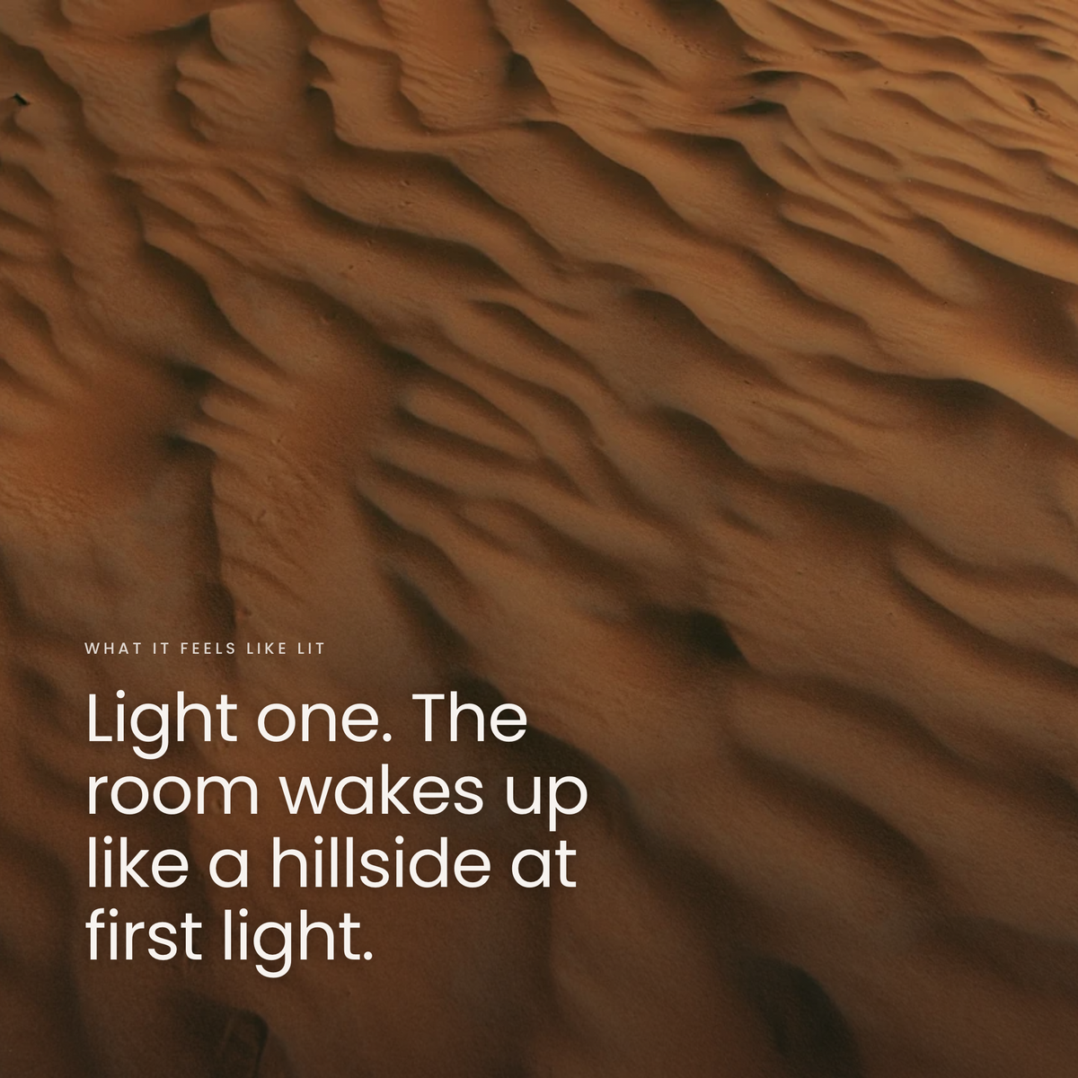 Light one. The room wakes up like a hillside at first light.