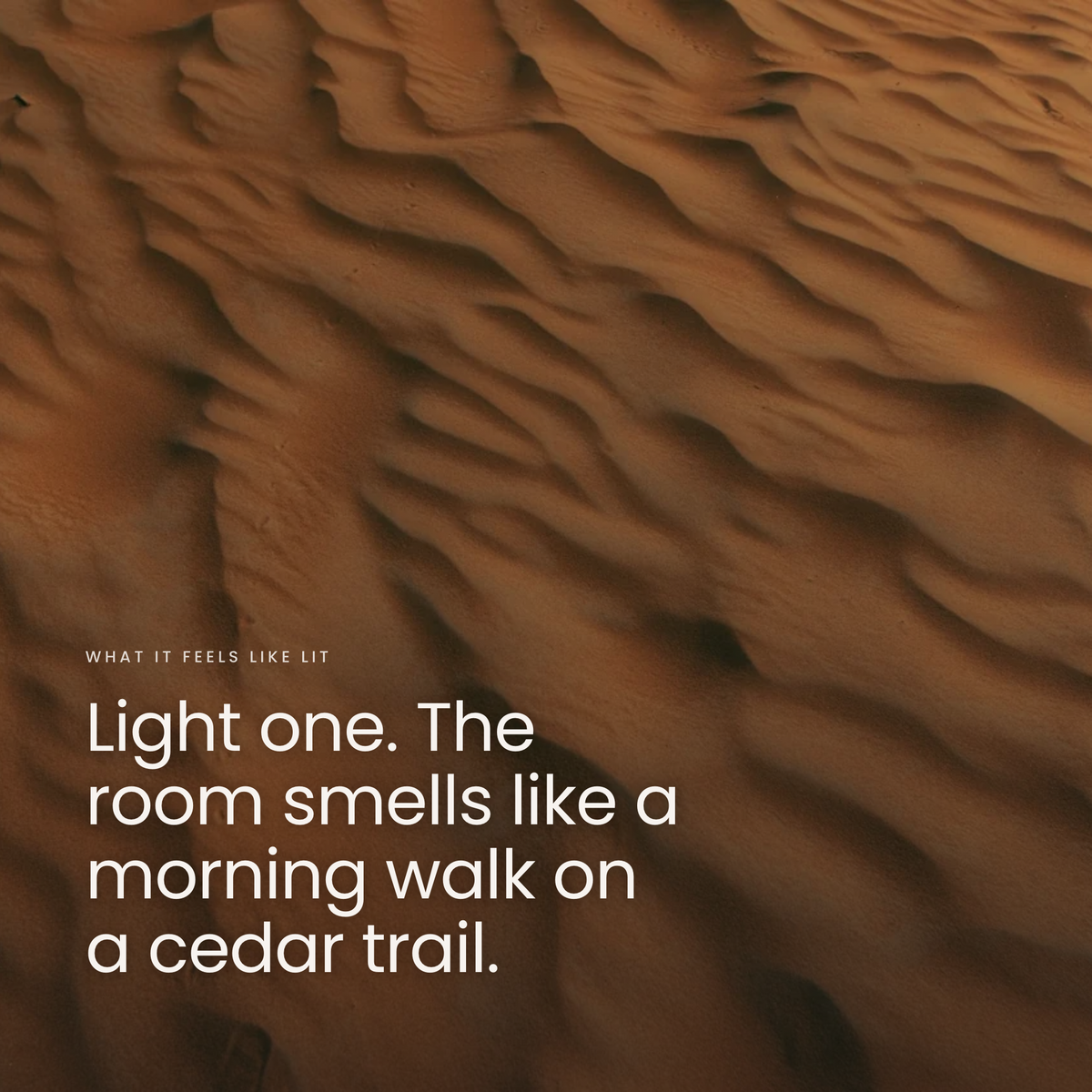 Light one. The room smells like a morning walk on a cedar trail.