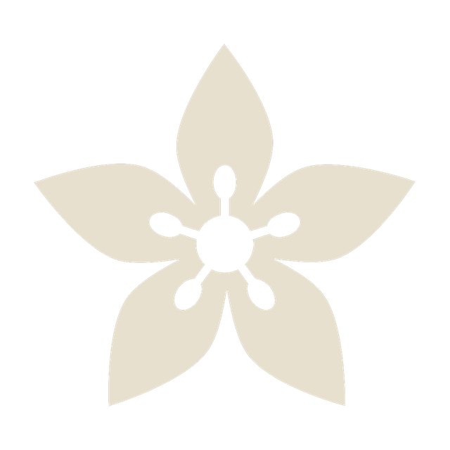Renewed by Lily