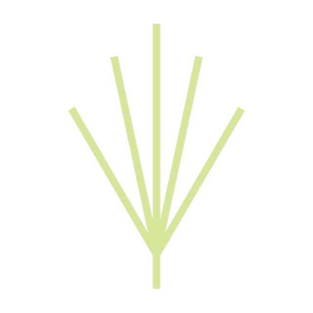 Rooted in Vetiver